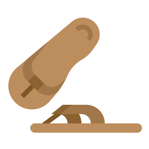Flip flops icon