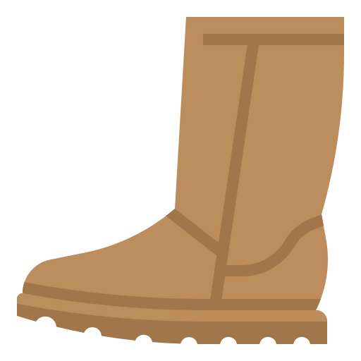 Boots icon