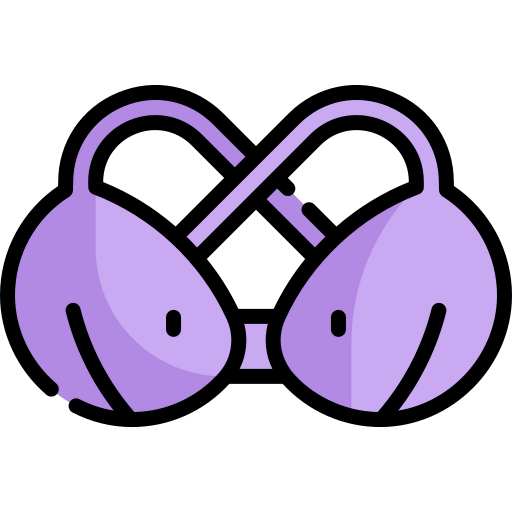 Bra icon