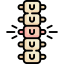 Spine icon 64x64