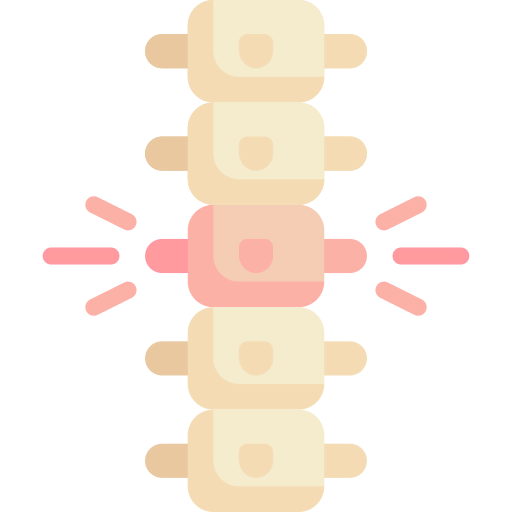 Spine icon