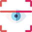 Eye recognition icône 64x64