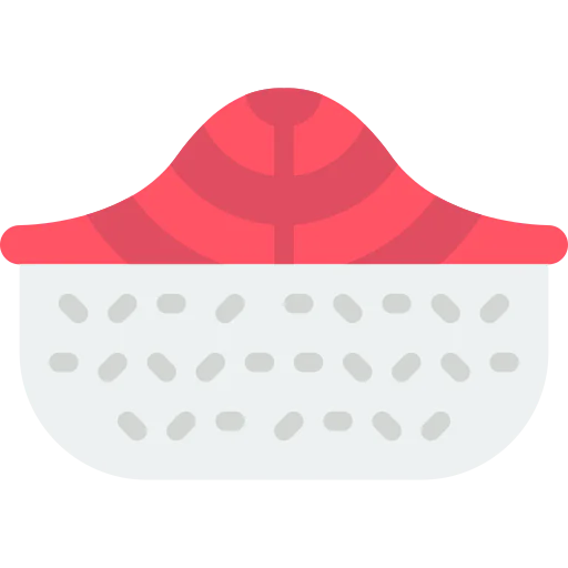 Salmon icon