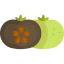Sapote icon 64x64
