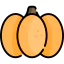 Pumpkin icon 64x64