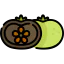 Sapote icon 64x64