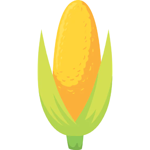 Corn icon
