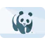 Wwf icon 64x64