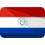 Paraguay icon 64x64