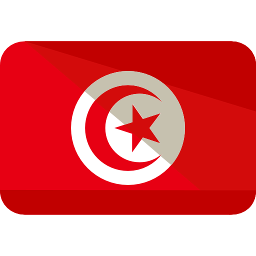 Turkey icon