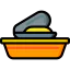 Mollusc icon 64x64