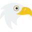 Eagle icon 64x64