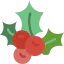 Mistletoe icon 64x64