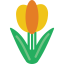 Tulip icon 64x64