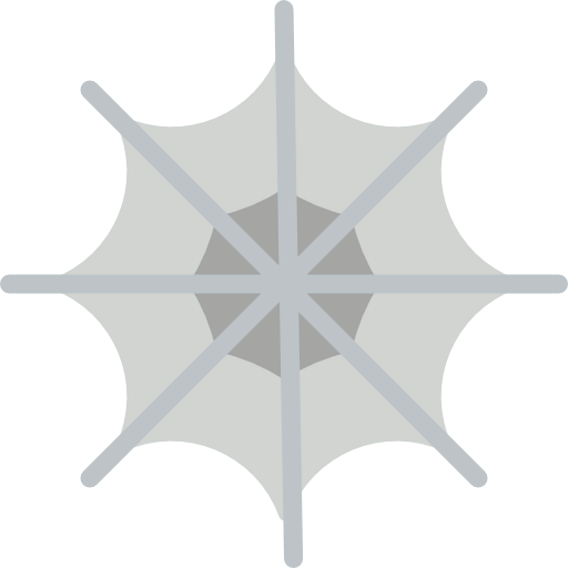 Spider web icon