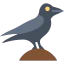 Raven icon 64x64