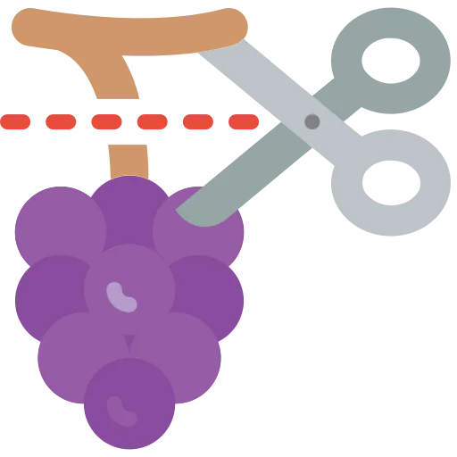 Grapes icon