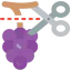 Grapes ícono 64x64