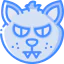 Cat icon 64x64