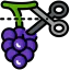 Grapes icon 64x64