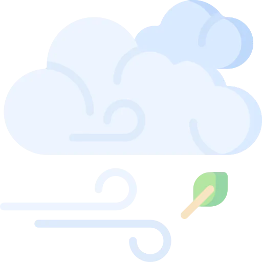 Windy icon