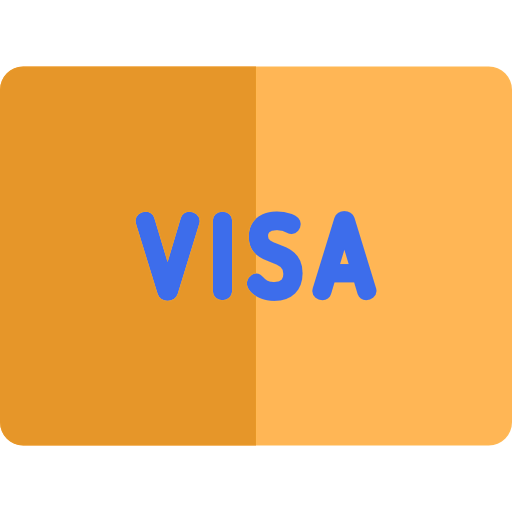 Visa icon