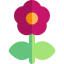 Poppy icon 64x64