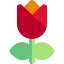 Tulip icon 64x64