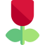 Tulip icon 64x64