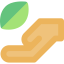 Sprout icon 64x64