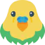Bird icon 64x64