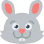 Bunny icon 64x64
