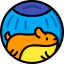 Hamster icon 64x64