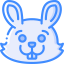 Bunny icon 64x64