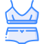 Lingerie icon 64x64
