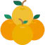 Orange icon 64x64
