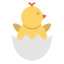 Chick icon 64x64