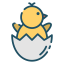 Chick icon 64x64