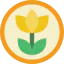 Macro icon 64x64