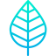 Leaf icon 64x64