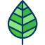 Leaf icon 64x64