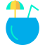 Coconut icon 64x64