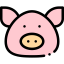 Pig icon 64x64
