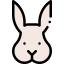 Rabbit icon 64x64