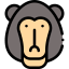 Monkey icon 64x64