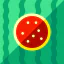 Watermelon icon 64x64