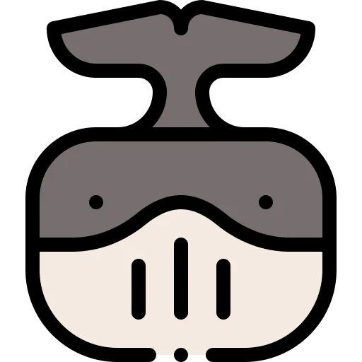 Whale icon
