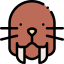 Walrus icon 64x64