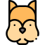 Squirrel icon 64x64