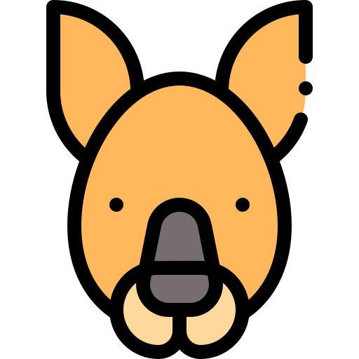 Kangaroo icon